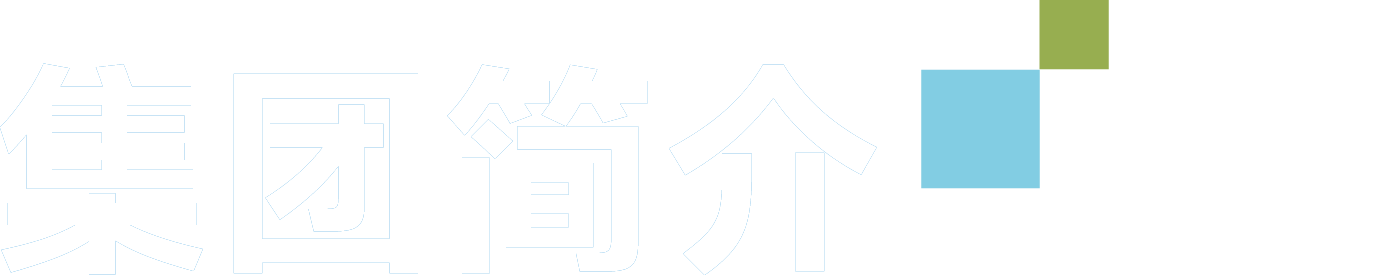 集團(tuán)簡(jiǎn)介